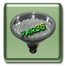 PAR38 Ultra Bright LED Light 12V AC/DC